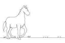 Arabian Stallion in One Line: Dynamic Drawing for Learning Motion