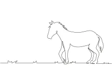Draw a White Horse Walking in One Line: Simple and Relaxing Technique