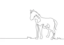 "Continuous Line Horse Sketch: Illustrating Stability and Strength in One Artistic Stroke"
