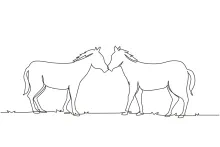 One Line Drawing of Two Horses Walking: Build Art Skills Step by Step