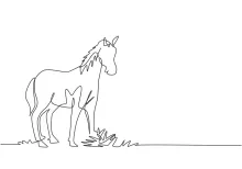 "One Line Standing Horse Art: Expressing Poise and Power with Minimalist Techniques"