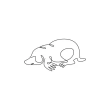 "One Line Mole Drawing: Capturing a Burrowing Mammal with Minimalist Style"