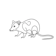 "Minimalist Opossum Sketch: Depicting a Nocturnal Mammal with Simple Techniques"