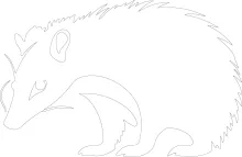 Simple Opossum One Line Art: Practice Drawing Unique Wildlife Easily