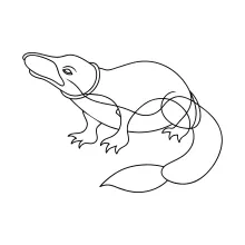 One Line Platypus Art: Explore Unique Wildlife with Easy Drawing