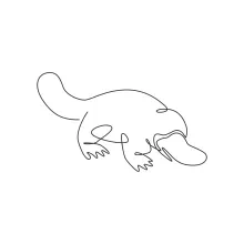 "Minimalist Platypus Sketch: A One Line Study of Unique and Recognizable Wildlife Forms"