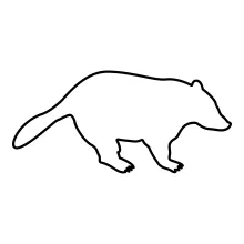 "Continuous Line Badger Sketch: Illustrating a Forest Dweller with Simple Strokes"