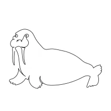 "One Line Walrus Sketch: A Minimalist Approach to Recognizable Marine Giants"