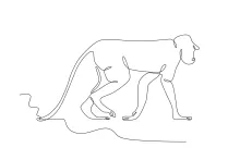 "Minimalist Langur Monkey Drawing: A One-Line Study of Graceful and Recognizable Wildlife Forms"