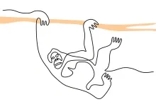 Easy One-Line Drawing of an Orangutan: Practice Jungle Animal Shapes