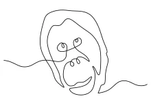 "Minimalist Orangutan Face Sketch: A One-Line Study of Thoughtful Wildlife Features"