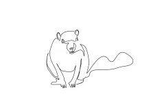 Squirrel in Simple Line Art: Easy and Cute Drawing for All Ages