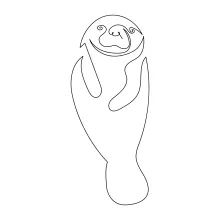 "One Line Manatee Art: A Minimalist Approach to Capturing Unique Marine Life"