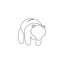 Bear One Line Drawing for Beginners: Build Animal Drawing Skills the Easy Way