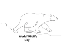 Easy Bear Drawing with One Line: Learn to Draw Nature’s Big Mammals