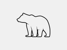 "Continuous Line Bear Drawing: Illustrating a Majestic Animal with Simple Art"