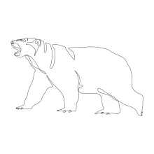 Easy Polar Bear Drawing: Simple Line Art for Wildlife Practice