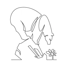 Polar Bear in Simple Line Art: Explore Arctic Animals Easily