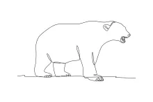 Simple One Line Bear Drawing: Great for Learning Strong Animal Shapes
