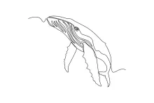 Blue Whale One Line Drawing: Gentle Sea Giant for Beginners
