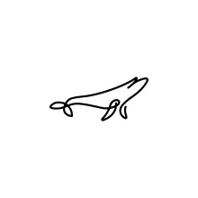 Blue Whale One Line Drawing: Learn to Draw the Largest Animal Simply