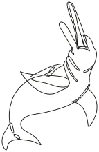 "Minimalist Amazon River Dolphin Illustration: Depicting a Rare and Beautiful Creature with One Line Art"