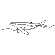 "Continuous Line Dolphin Sketch: Capturing Fluidity and Energy with One Line Art"