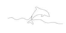 Dolphin Sketch in One Line: Practice Drawing a Fun Sea Animal