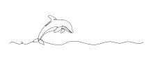 One Line Dolphin Sketch: Learn Shape and Movement Through Sea Art