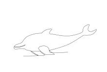 Dolphin One Line Sketch: Playful Marine Mammal for All Ages