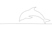 Dolphin One Line Sketch: Simple, Friendly Sea Art for All Ages