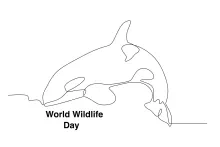 One Line Swimming Dolphin: Calm Sea Creature for Drawing Practice