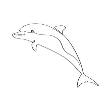 Underwater Dolphin One Line Art: Simple and Peaceful Sea Drawing