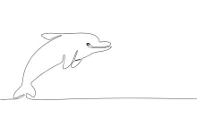 Simple Dolphin One Line Drawing: Draw Marine Life with One Stroke