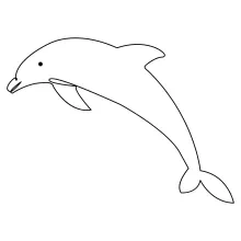 Single Line Dolphin Drawing: Explore the Ocean with Minimal Lines