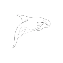 Orca One Line Drawing: Draw a Bold Sea Predator Easily