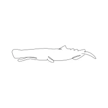 Sperm Whale One Line Drawing: Learn to Draw a Deep Sea Giant