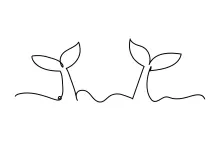 Two Whale Tails One Line Drawing: Learn Ocean Symmetry and Simplicity