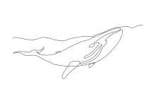 Whale One Line Drawing: Calm Ocean Giant for Relaxed Art Practice