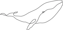 Whale One Line Drawing: Easy and Calm Ocean Art for Beginners