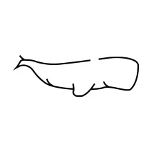Whale One Line Drawing: Ocean Giant Made Easy for Artists of All Ages