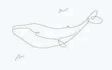 One Line Whale Drawing: Explore Sea Life with Simple Line Techniques
