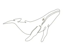 "One Line Killer Whale Drawing: Expressing Strength and Fluidity with Minimalist Techniques"