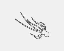 Easy One-Line Octopus Drawing to Strengthen Visual Planning Skills