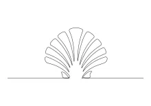 Easy One-Line Oyster Shell Drawing for Exploring Inside-Outside Shapes