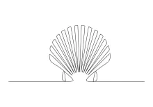 Learn One-Line Open Oyster Shell Drawing for Organic Shape Observation
