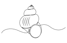 Practice Gentle Line Drawing with a One-Line Seashell Design