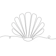 One-Line Seashell Drawing to Practice Curved Repetition and Rhythm