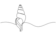 One-Line Conch Snail Shell Drawing for Line Flow and Natural Curves