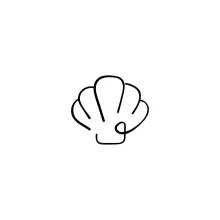 Simple One-Line Shell Drawing: Study Natural Shapes with Ease
